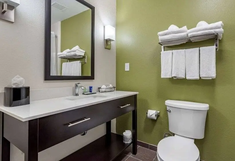 スイート, Sleep Inn & Suites