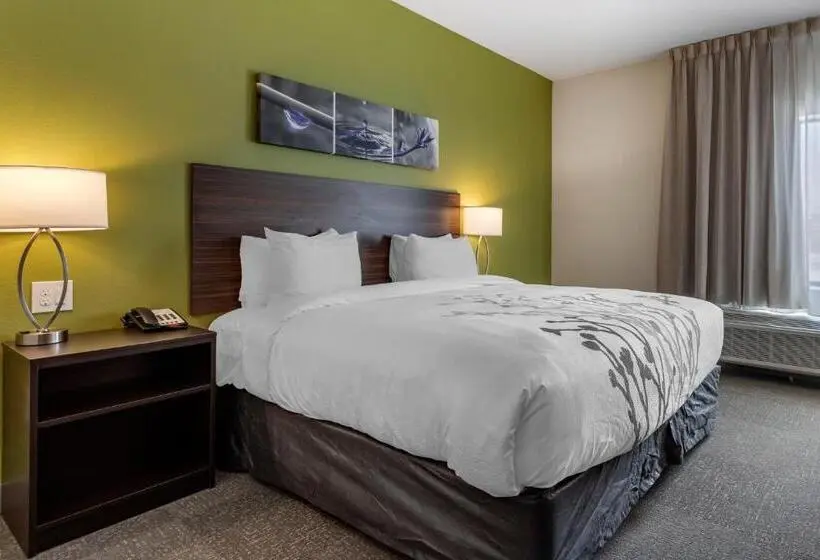 キングサイズベッドのスイートルーム, Sleep Inn & Suites