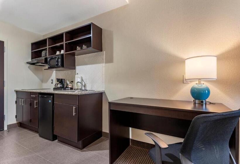 מיטת קינג בסוויטה, Sleep Inn & Suites