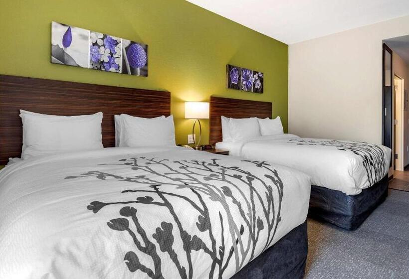 חדר סטנדרט, Sleep Inn & Suites