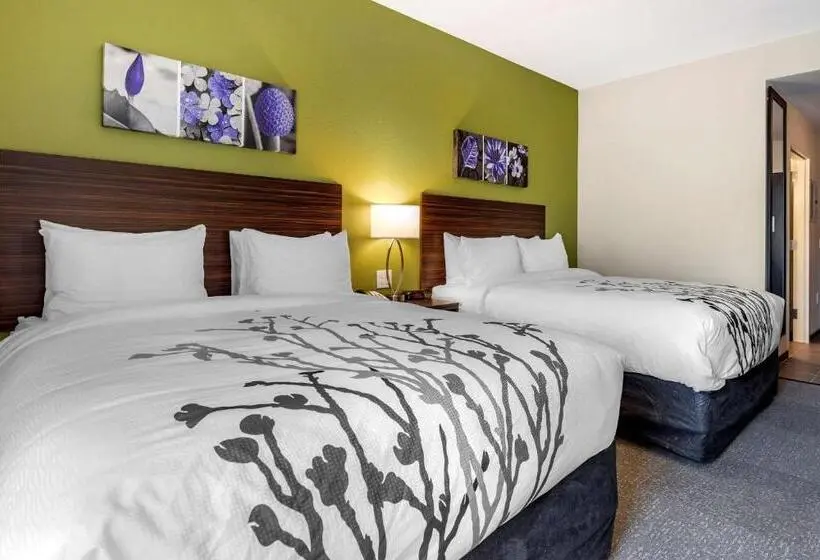 スタンダードルーム, Sleep Inn & Suites