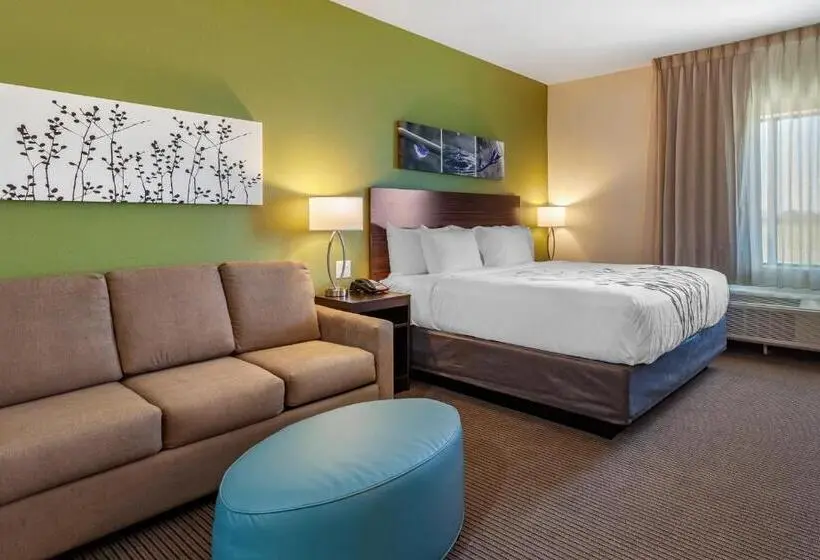 キングサイズベッドのスイートルーム, Sleep Inn & Suites