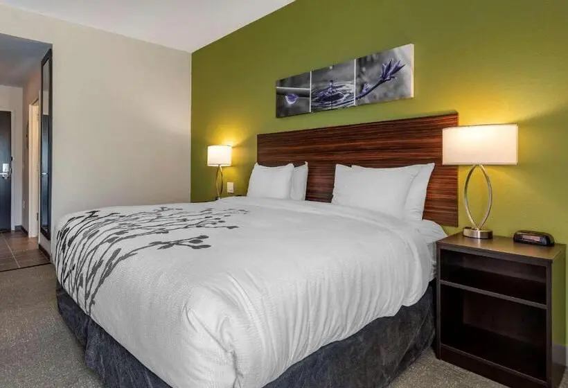 身障者適用スタンダードルーム, Sleep Inn & Suites