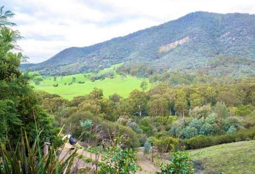 חדר סטנדרט, Eildon Parkview Motor Inn Room 4