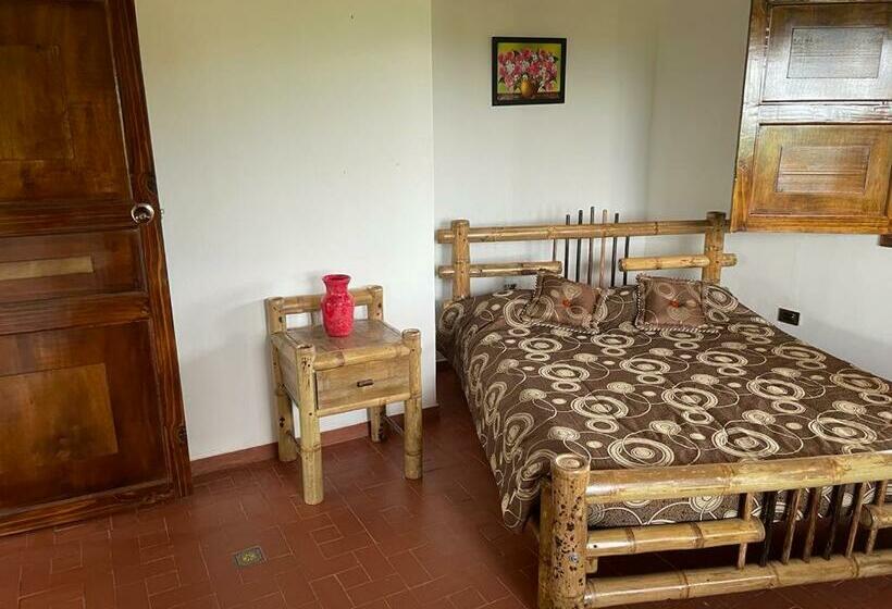 Номер Стандарт, Hacienda San Miguel Arcangel
