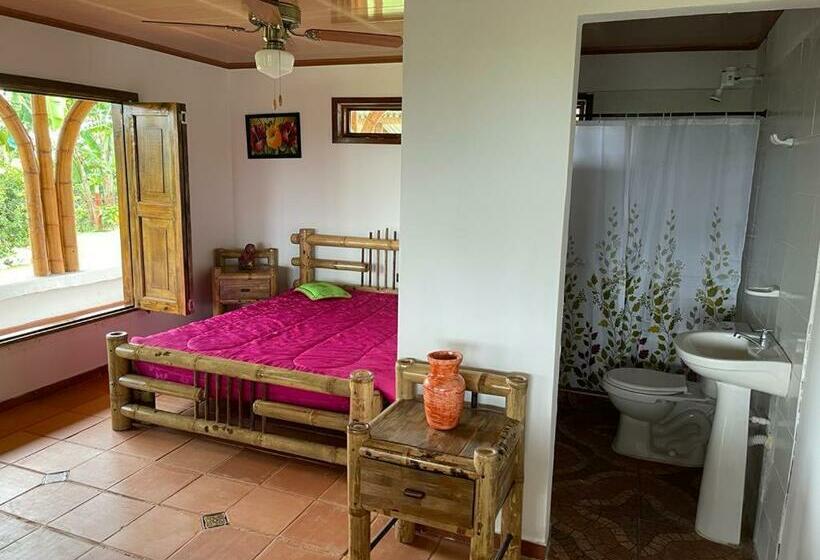 Номер Стандарт, Hacienda San Miguel Arcangel