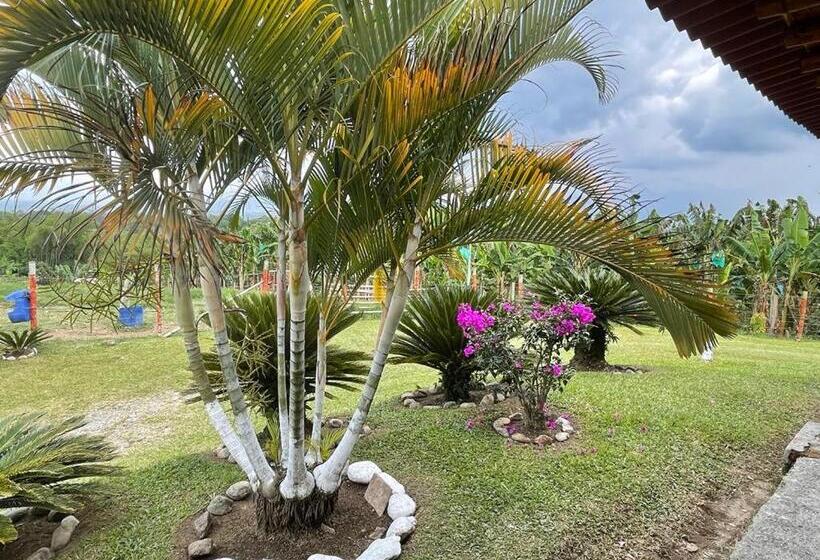 Номер Стандарт, Hacienda San Miguel Arcangel