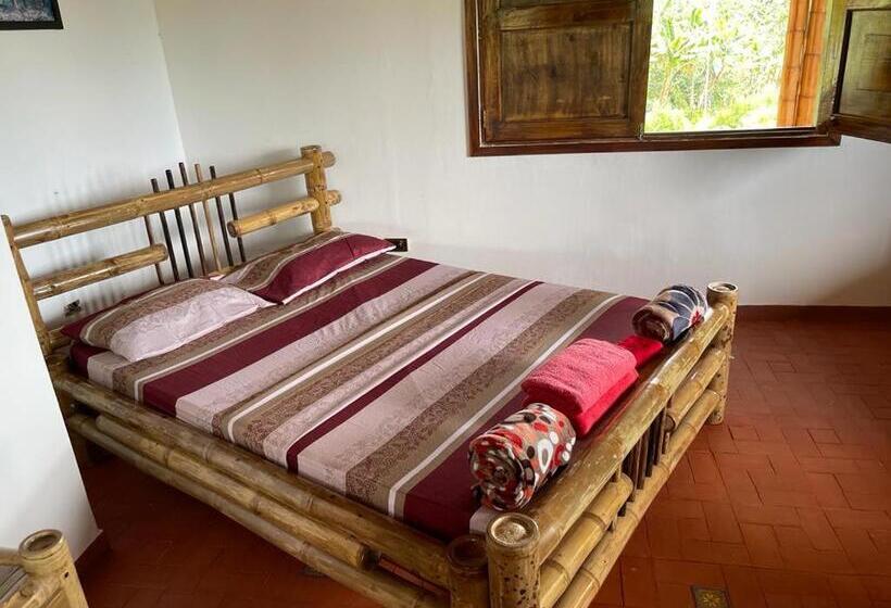 Номер Стандарт, Hacienda San Miguel Arcangel