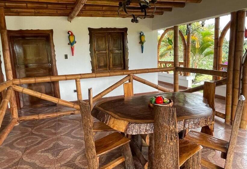 Номер Стандарт, Hacienda San Miguel Arcangel