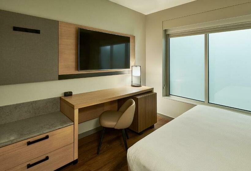 Стандартный Номер Кровать Кинг, Hyatt Place Asheville Airport