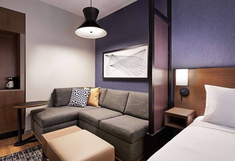 Номер Стандарт Двуспальная Кровать, Hyatt Place Asheville Airport