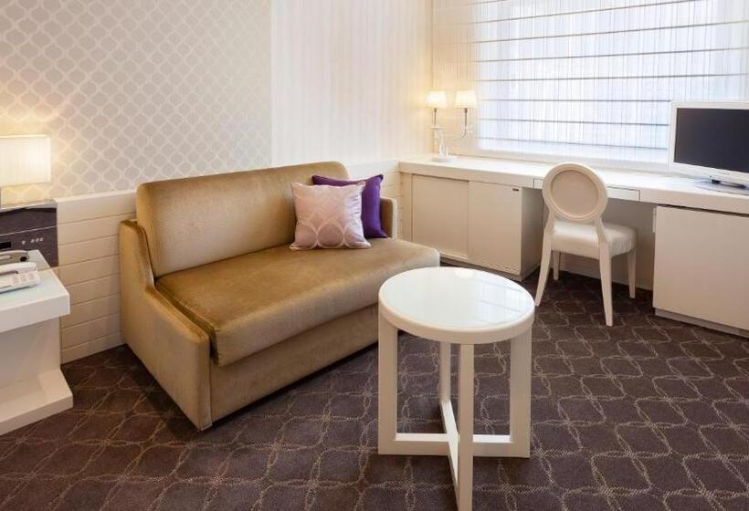 غرفة سوبيريور, Elsereine Osaka