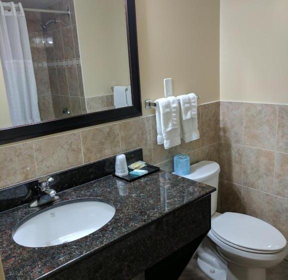 غرفة قياسية, Luxury Inn