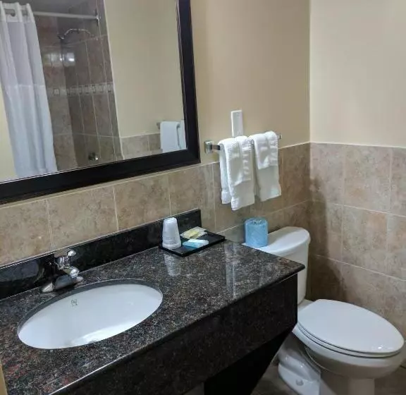 キングサイズベッドのスタンダードルーム, Luxury Inn