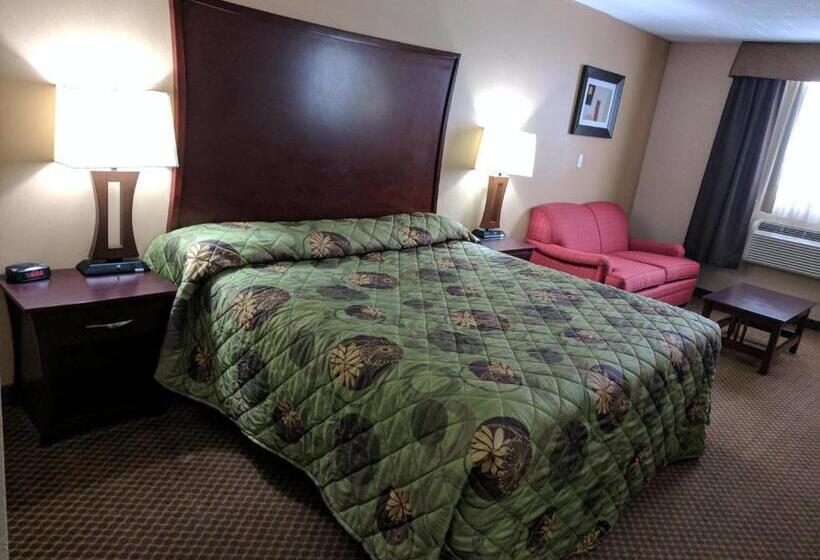 غرفة قياسية سرير كينج, Luxury Inn