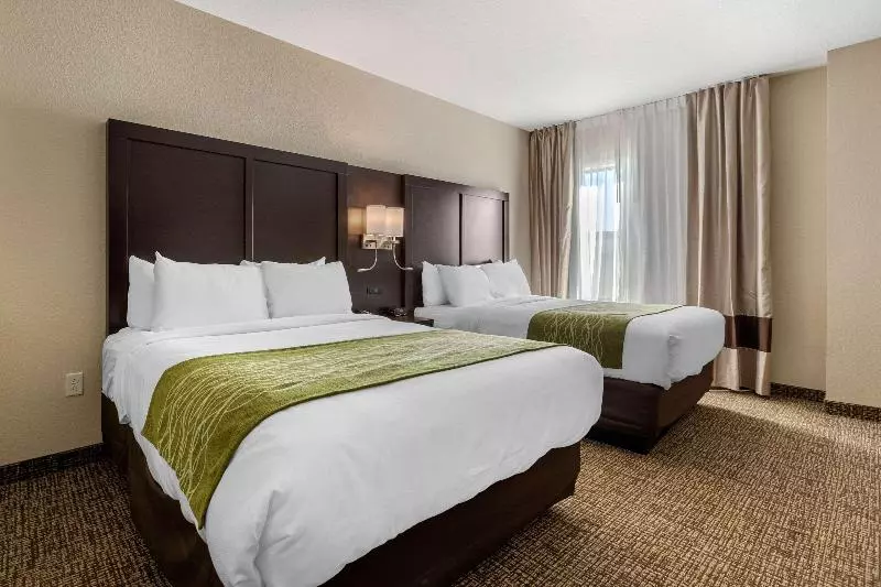キングサイズベッドのスタンダードルーム, Ramada Plaza Shaoguan City Centre