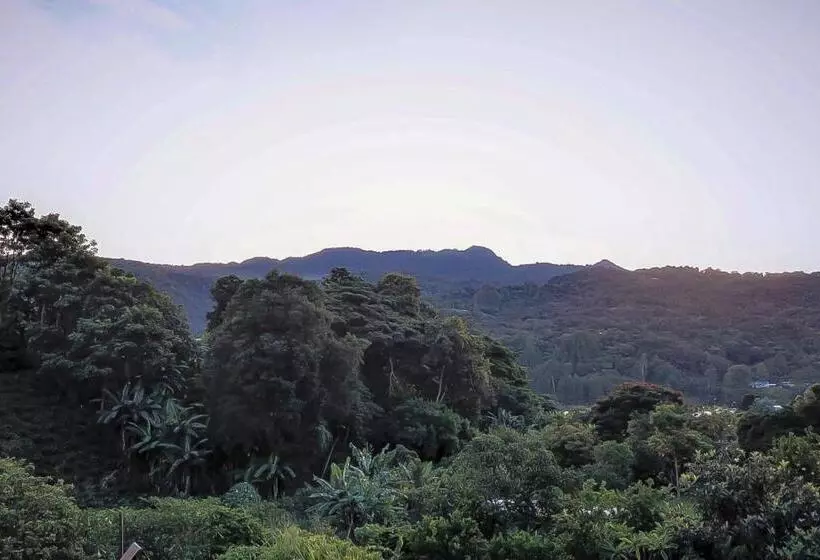 キングサイズベッドのスタンダードルーム, Valle Del Rio