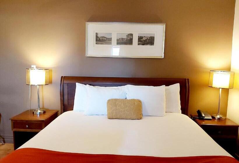 스탠다드 룸 킹사이즈 침대, Seely's Motel