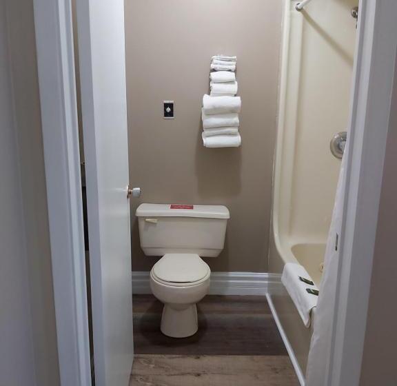 스탠다드 룸, Seely's Motel