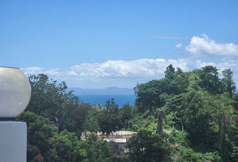 آپارتمان 1 خوابه, Edma Aparta