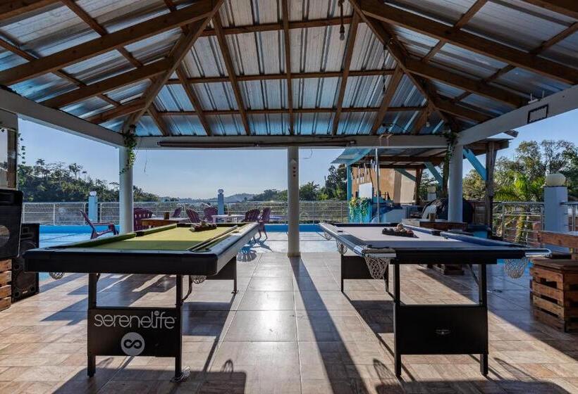 اتاق لوکس, Edma Aparta