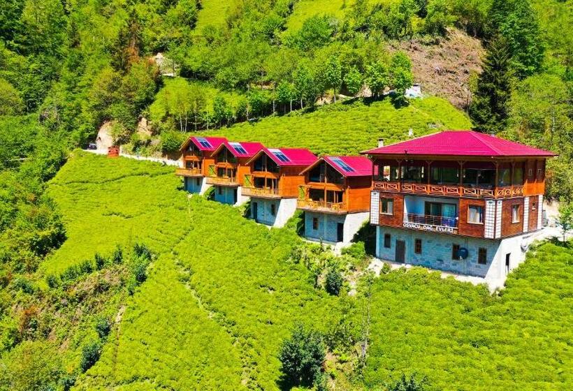 סוויטה, Oşvacu Dağ Evleri