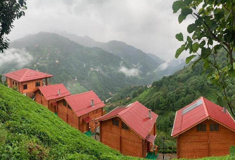 סוויטה, Oşvacu Dağ Evleri