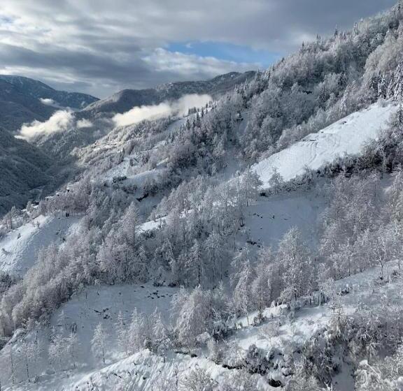 Люкс, Oşvacu Dağ Evleri