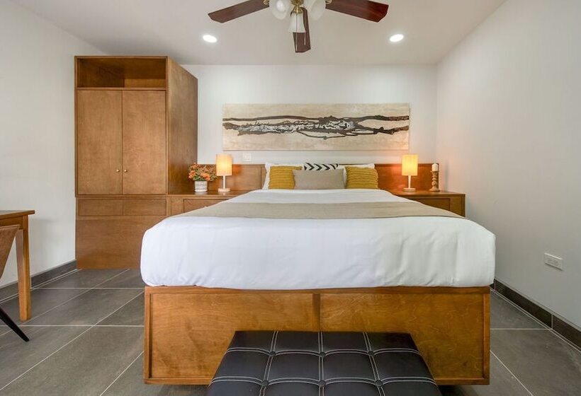 高级大房间, Casa Asturias