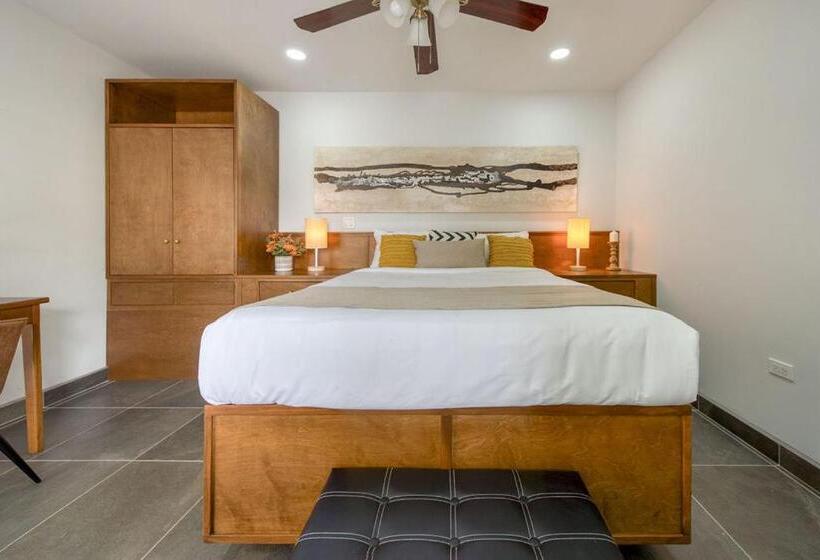 高级大房间, Casa Asturias