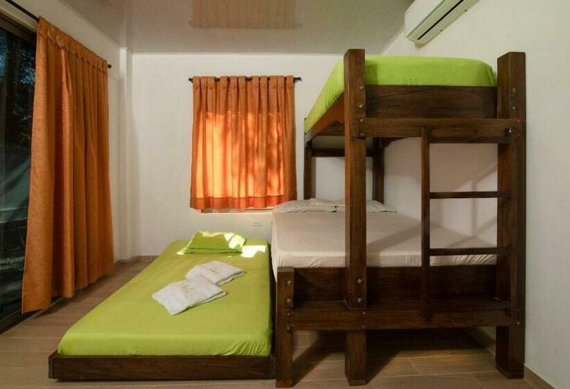 חדר סטנדרט לארבעה, Zabdi Coveñas