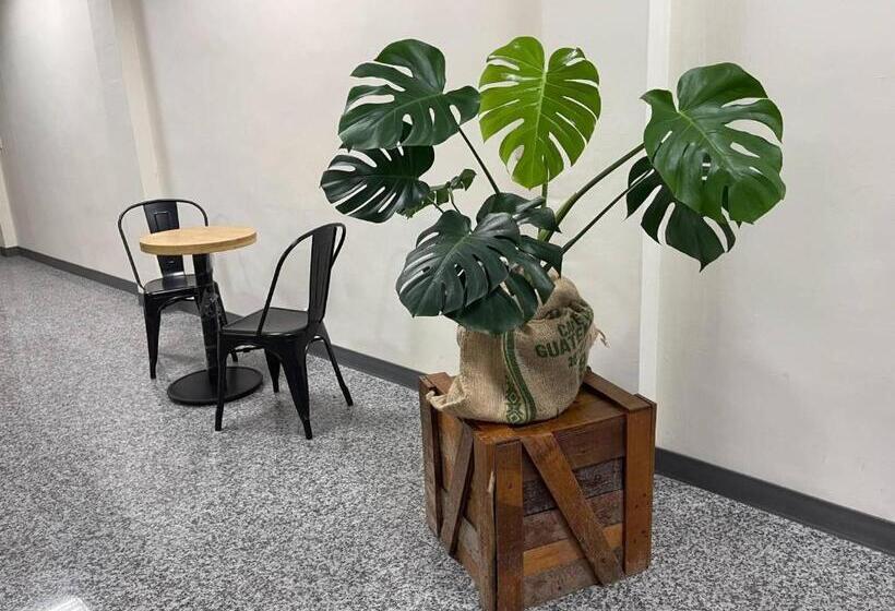 اتاق خانوادگی, 二街窩窩電梯民宿花蓮車站東出口second Street Nest Hostal