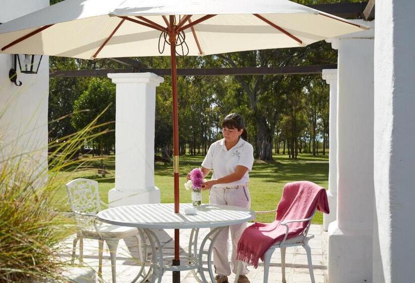 اتاق استاندارد با تراس, House Of Jasmines Relais & Châteaux