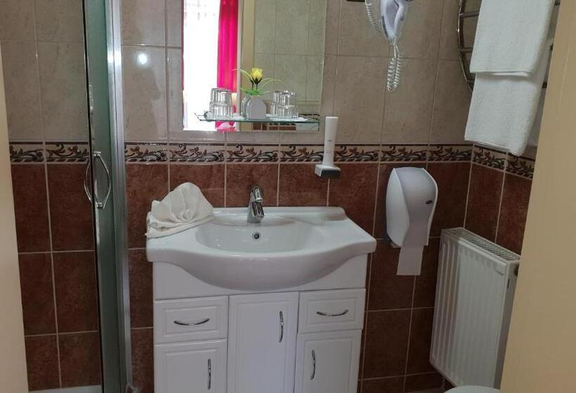 חדר סטנדרט יחיד עם מרפסת, Isabell Győr