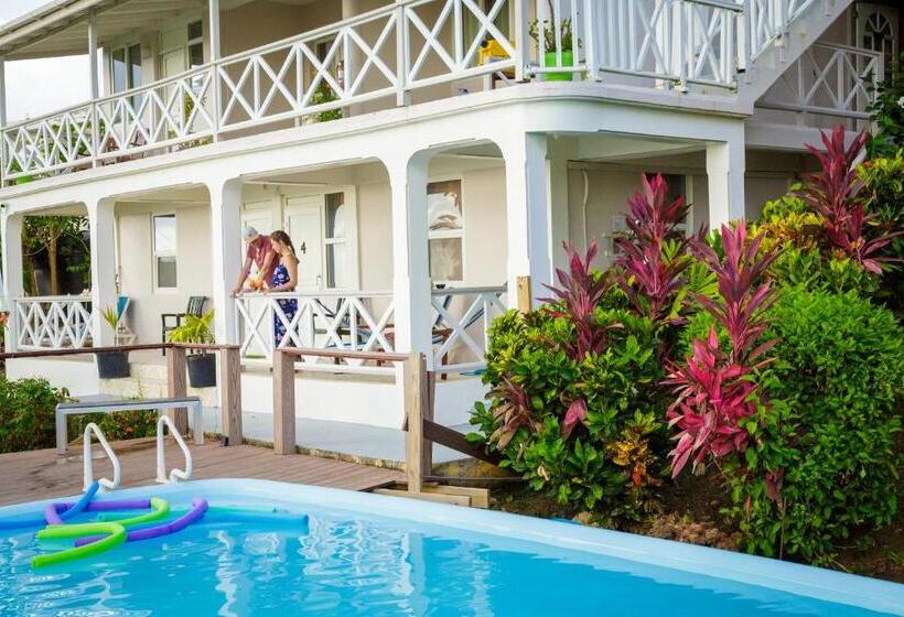 اتاق استاندارد, The Champs