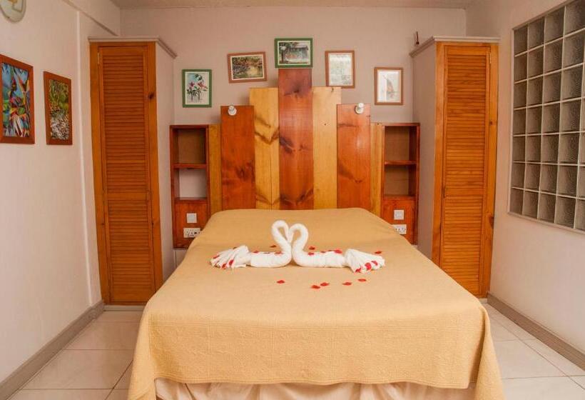 اتاق استاندارد, The Champs