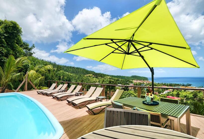 اتاق استاندارد با تخت بزرگ, The Champs