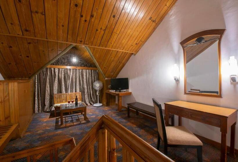 اتاق دوبلکس, Mastiff Grand Manali