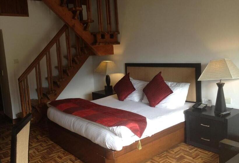 اتاق دوبلکس, Mastiff Grand Manali