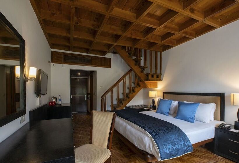 اتاق دوبلکس, Mastiff Grand Manali