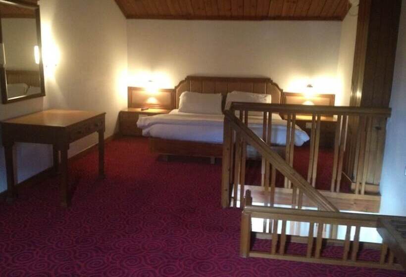 اتاق دوبلکس, Mastiff Grand Manali