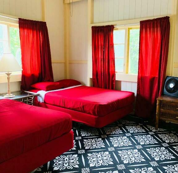 スイート, Wild Ginger