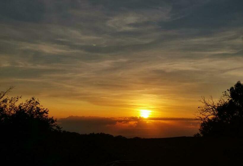 스탠다드 스튜디오 (전망), Monteverde House