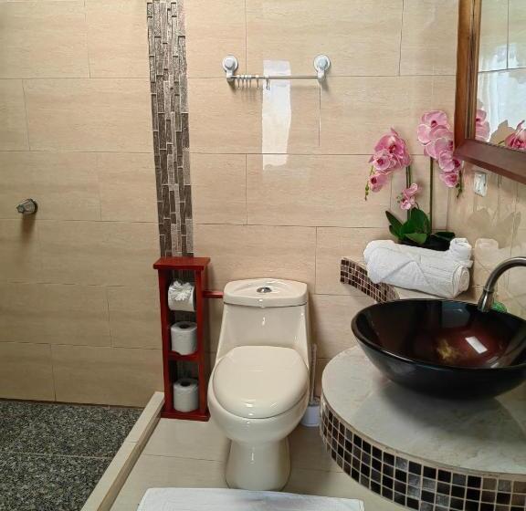 스탠다드 스튜디오 (전망), Monteverde House