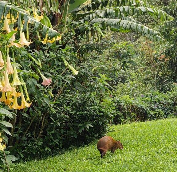 산 전망 스위트, Monteverde House