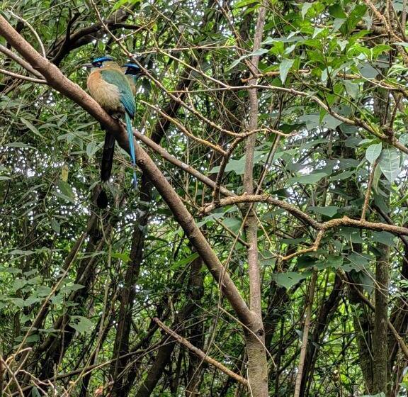 침실 1개 주택, Monteverde House