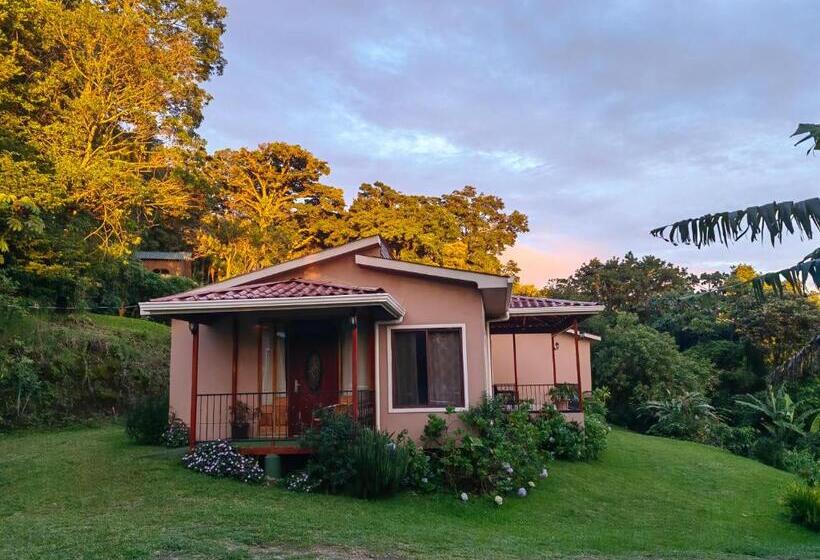 스탠다드 스튜디오 (전망), Monteverde House