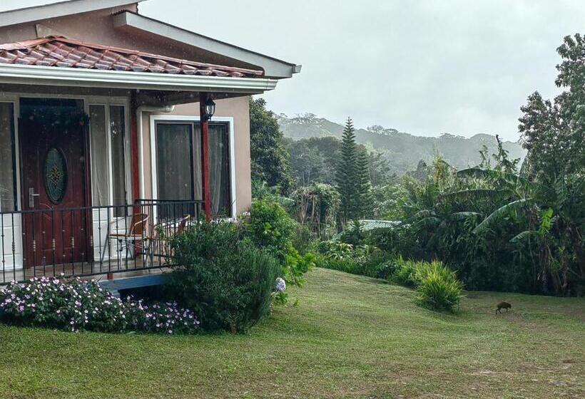 스탠다드 스튜디오 (전망), Monteverde House