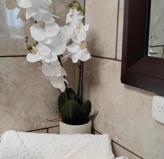 산 전망 스위트, Monteverde House