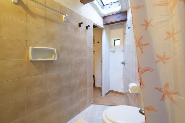 דירת חדר, Casa Marialuisa